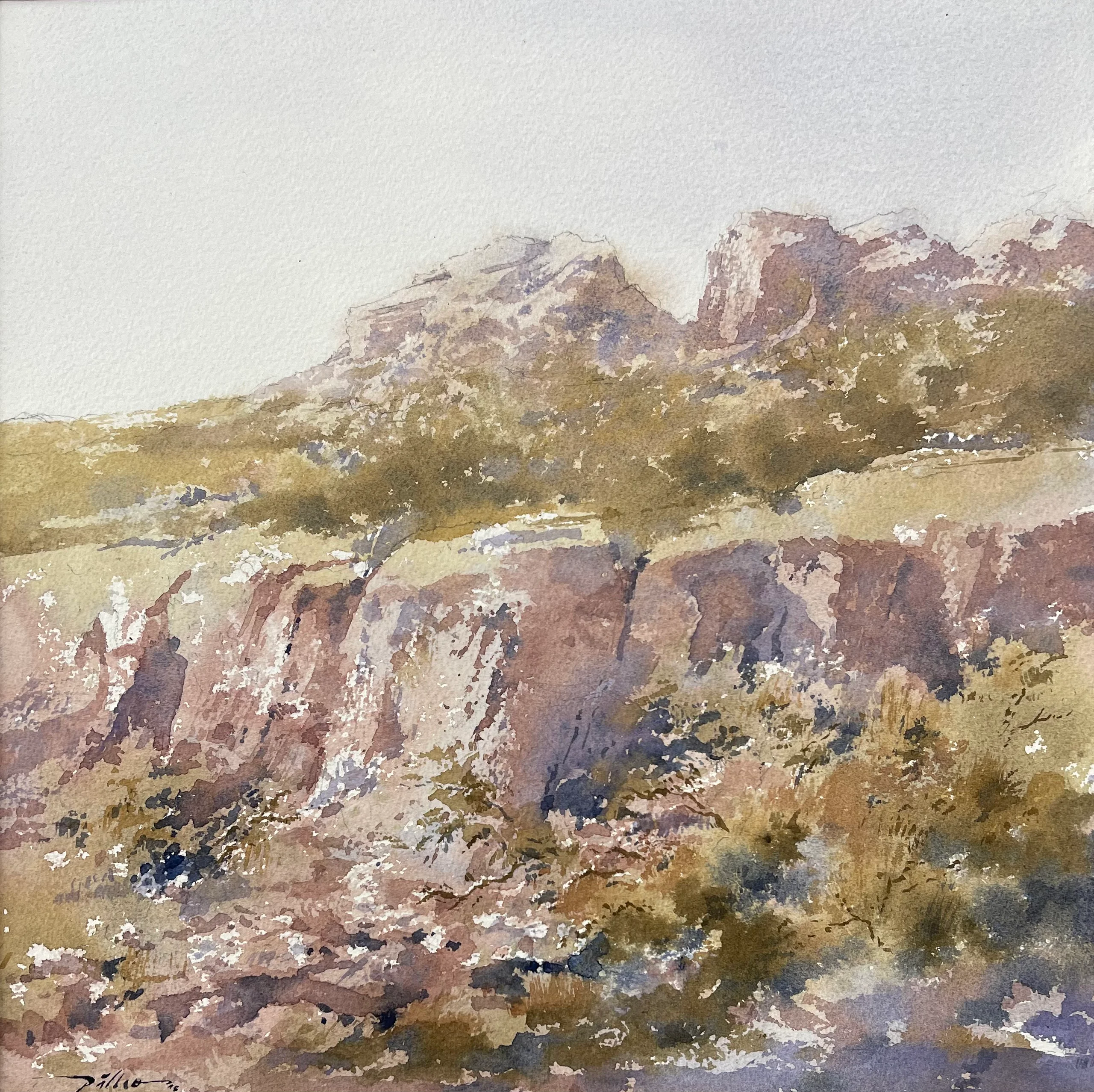Bosque de rocas — Guido Quispe Pillco