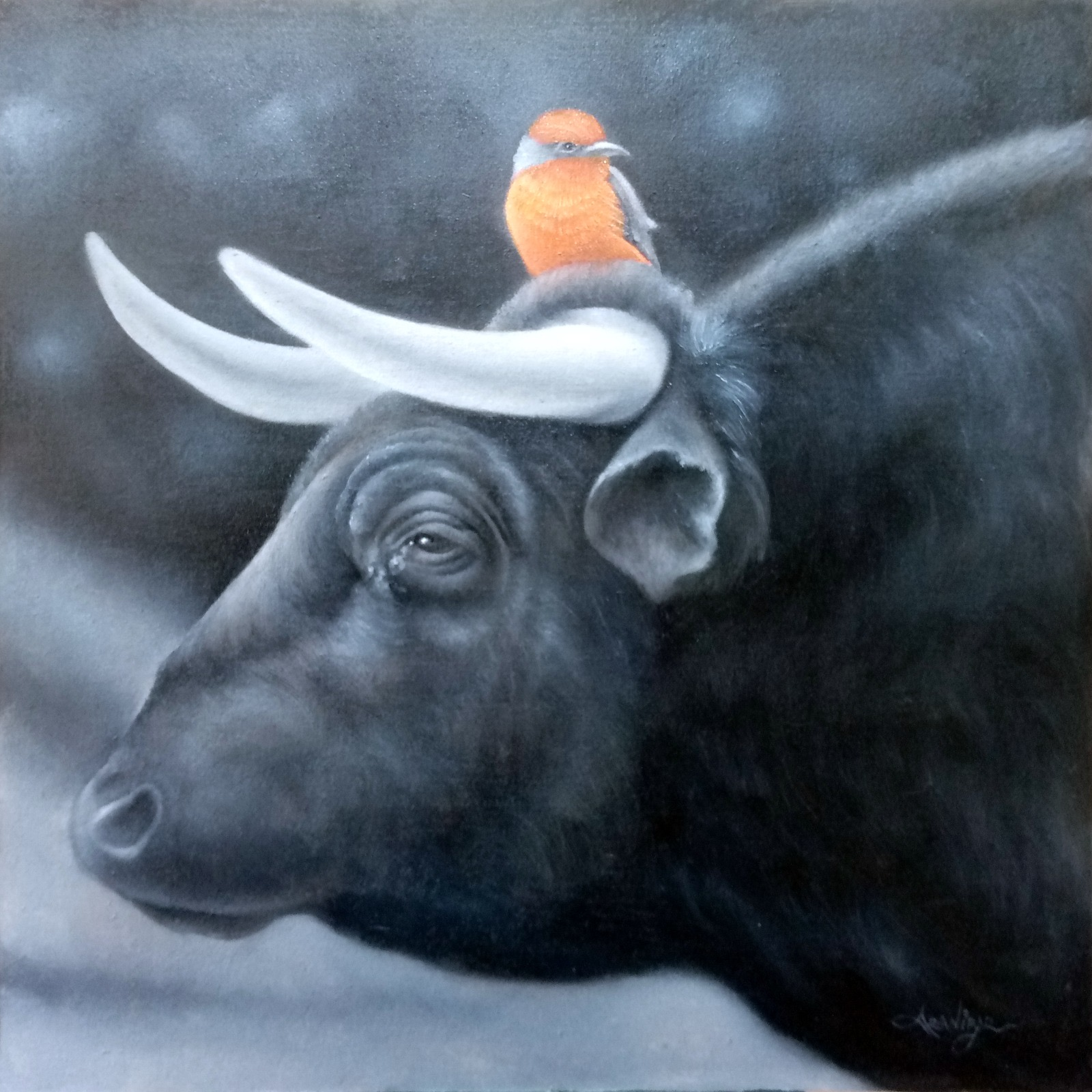 Ferdinand y el petirrojo