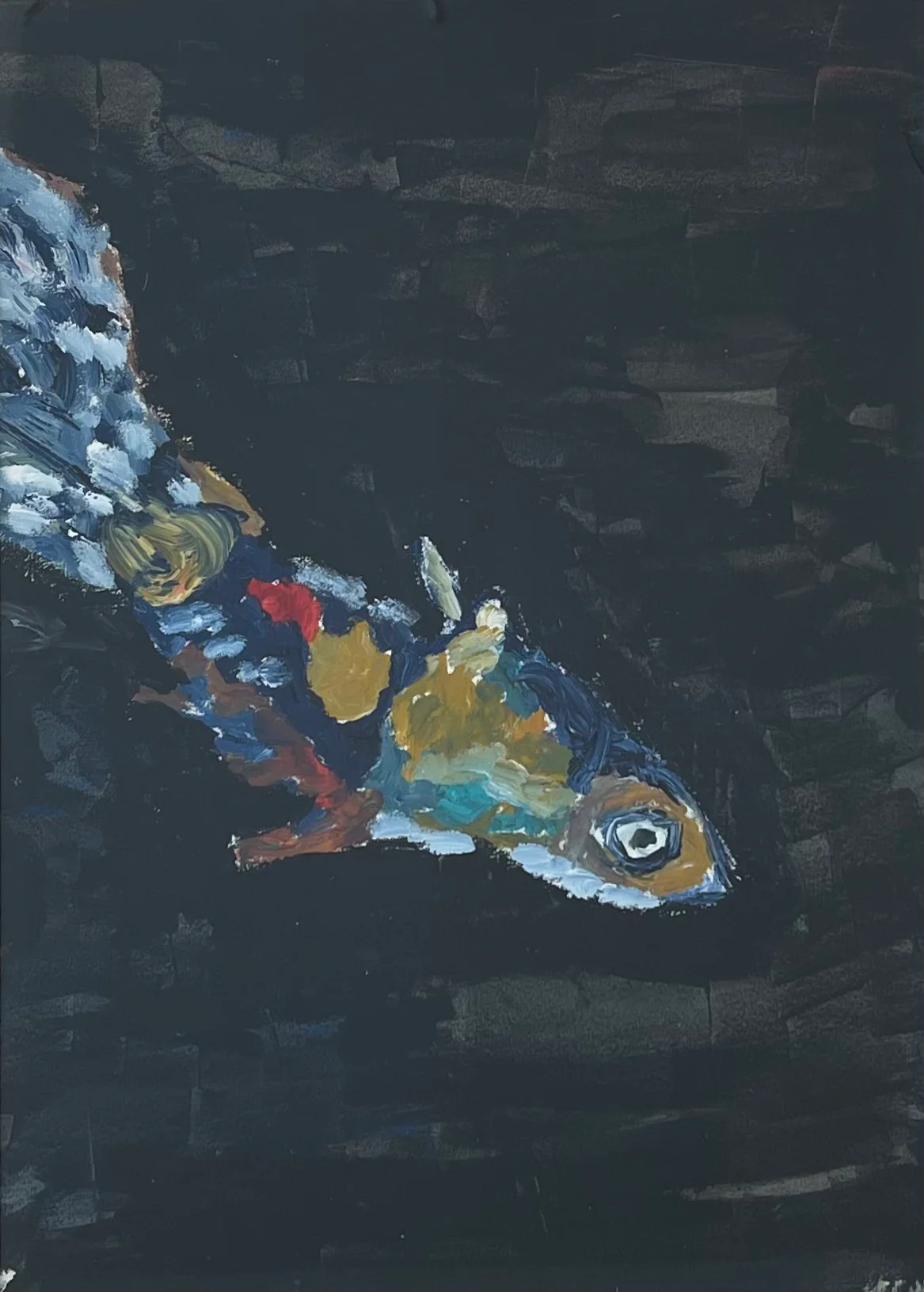 Noche de acuario
