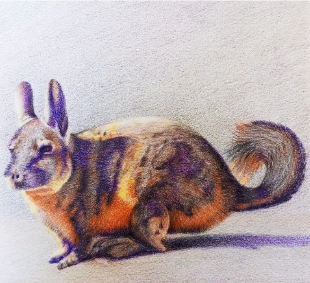 Vizcacha